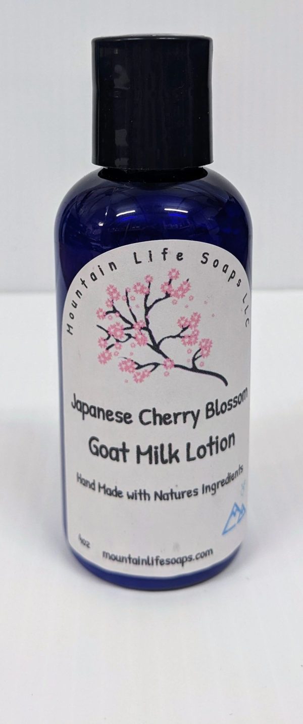 Japanese Cherry Blossom, Goat Milk Lotion