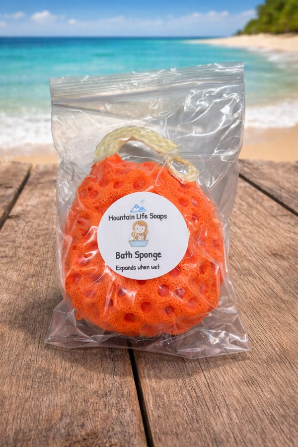 c84ee10e8c8312338b65e75373eb7595710cedf1966275e686cfb274156d21aa Bath Sponge