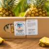 Pineapple Beach Goat Milk Soap